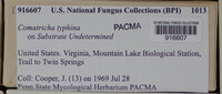 Image Associated With the Occurence